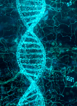 dna5