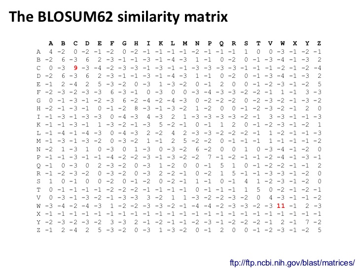 bits-basics-of-sequence-similarity-17-728.jpg