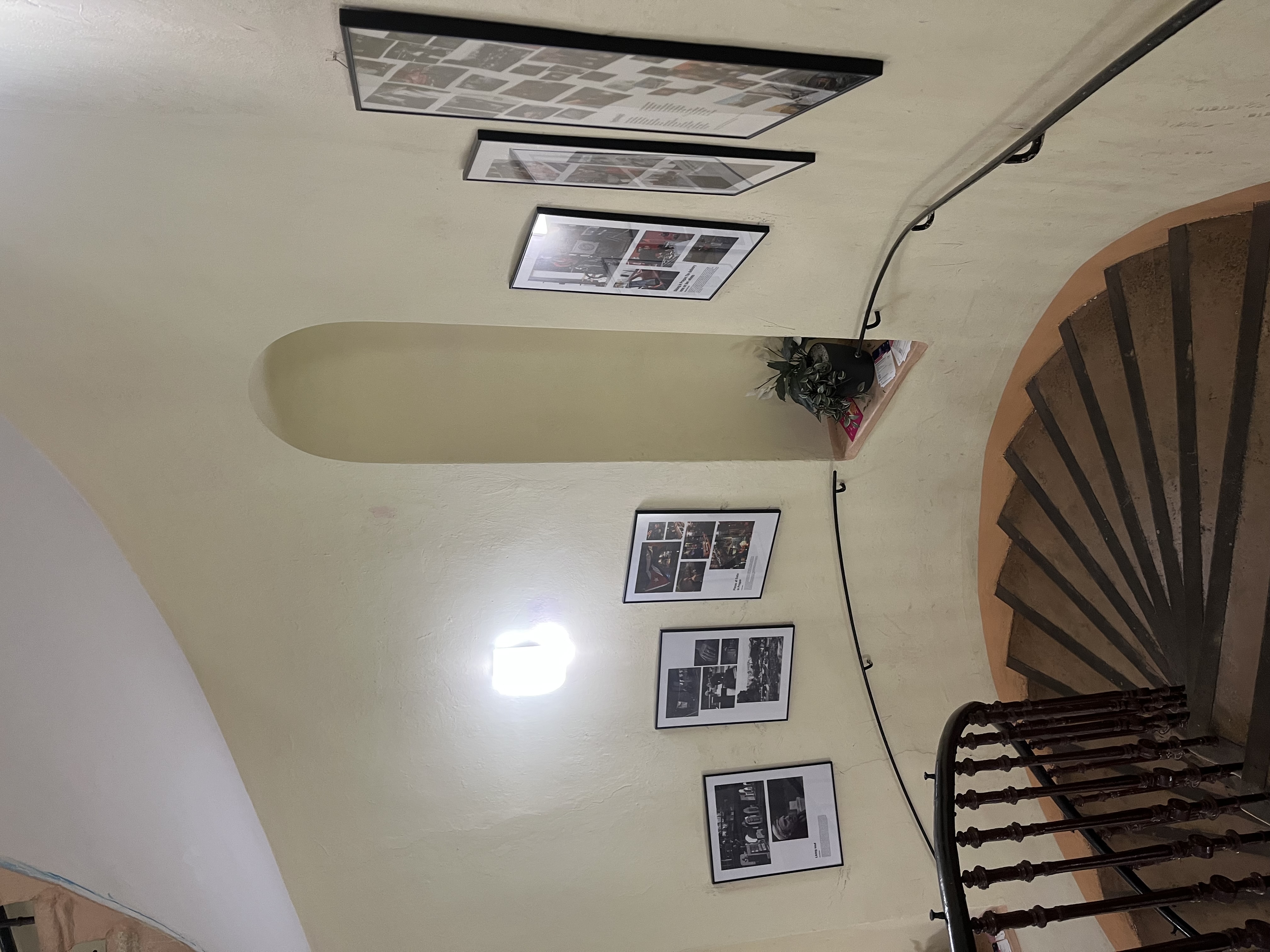 Příloha IMG_3143.jpeg