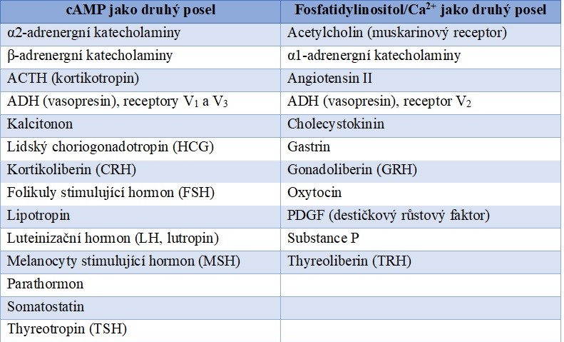 Tabulka 1 Příklady signálních molekul, jejichž intracelulární signalizace je zprostředkována G-proteiny