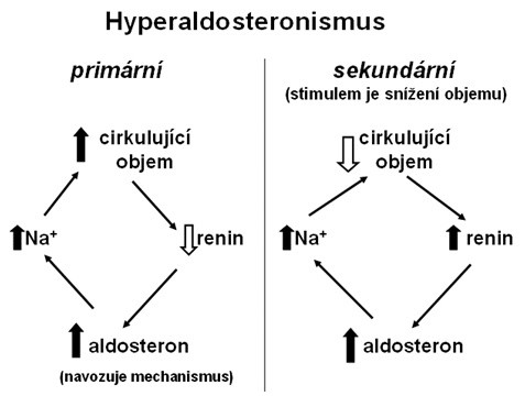 Obr. 36 Primární a sekundární hyperaldosteronismus