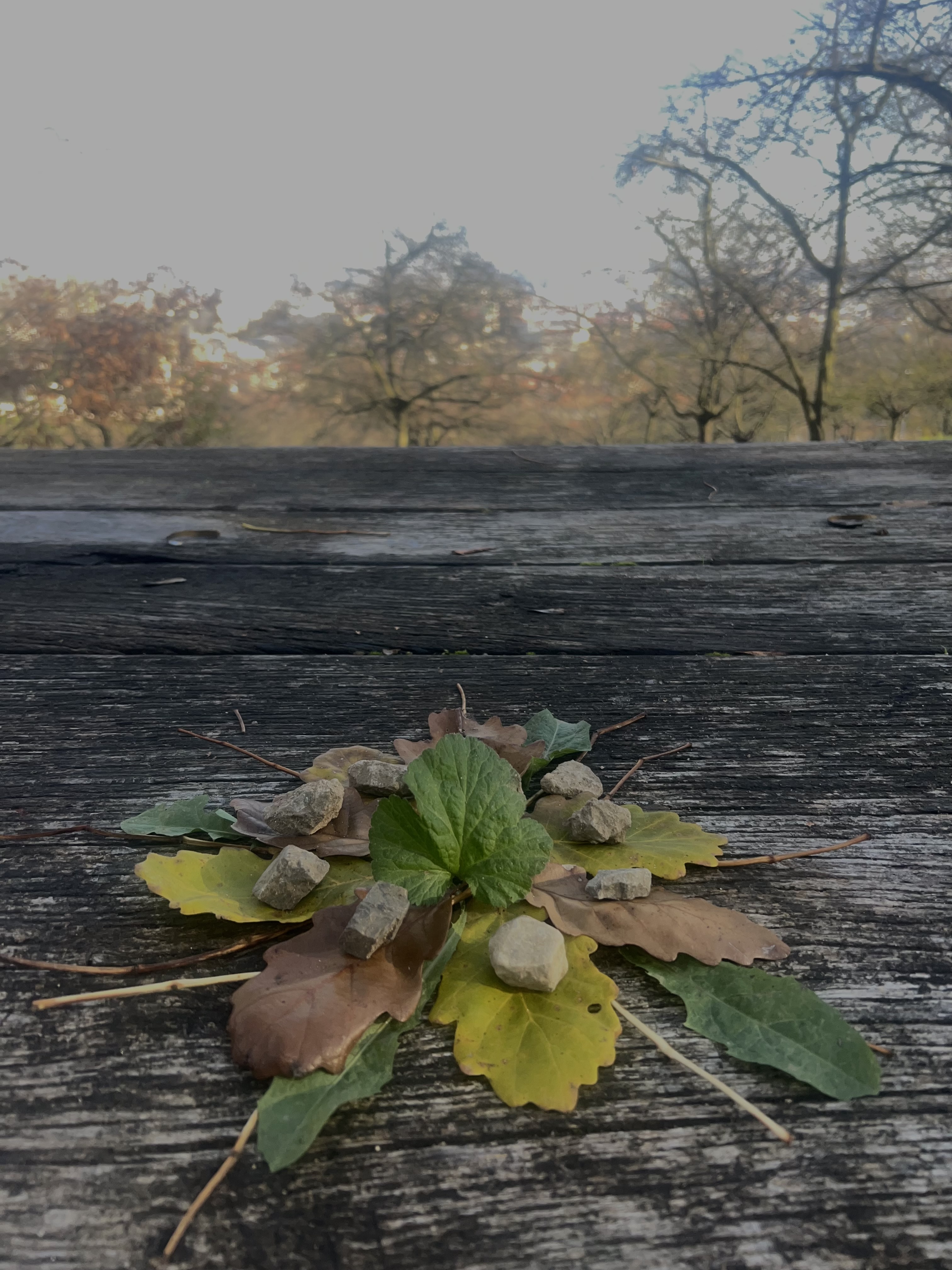 Land art project