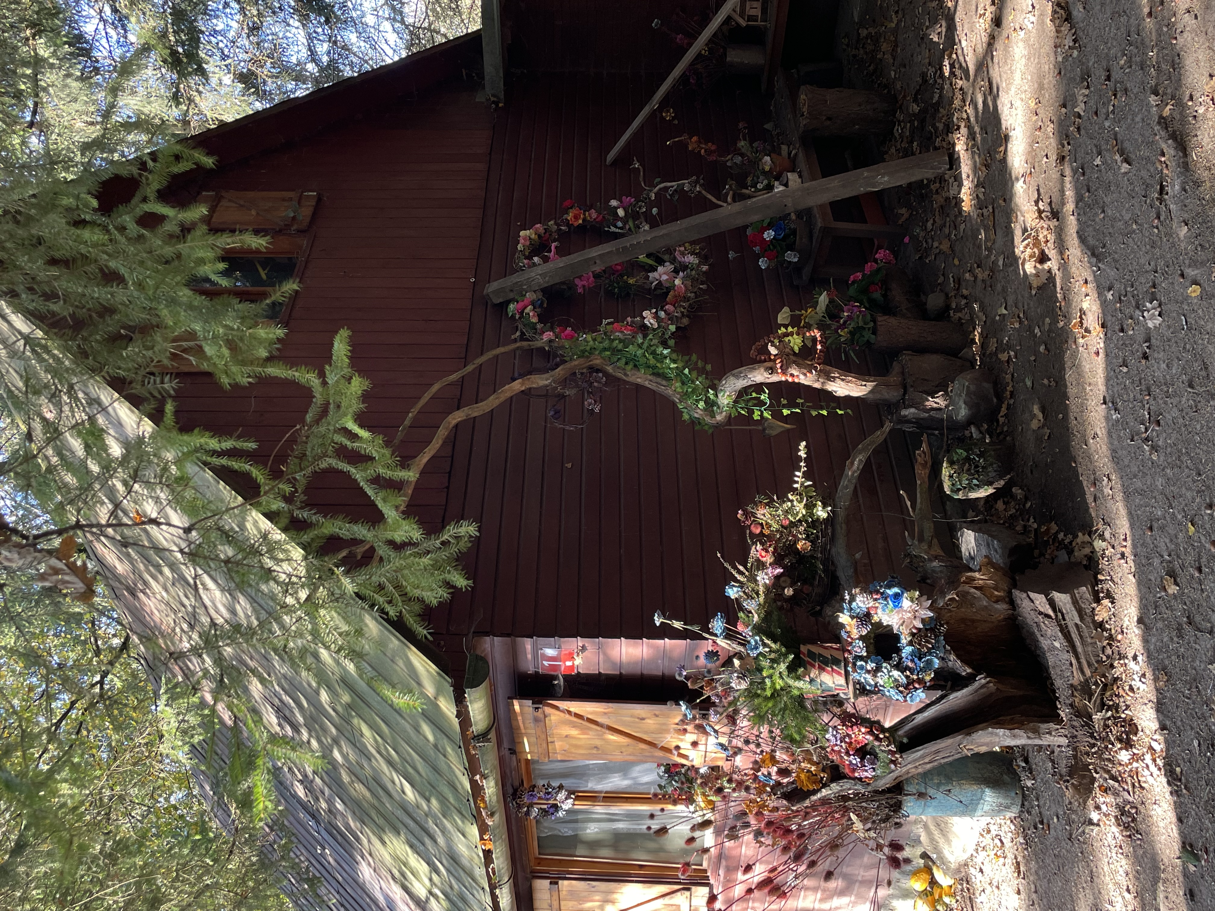 the most beautiful cottage i saw near our house, when we went for a walk with my dog - full of different kinds of flowers