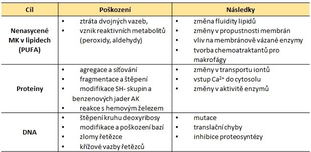 po%C5%A1kozenm%C3%AD.jpg