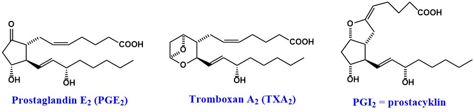 prostanoidy.jpg?time=1536324562077