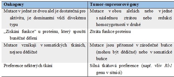 tabulka%20onkogeny.jpg
