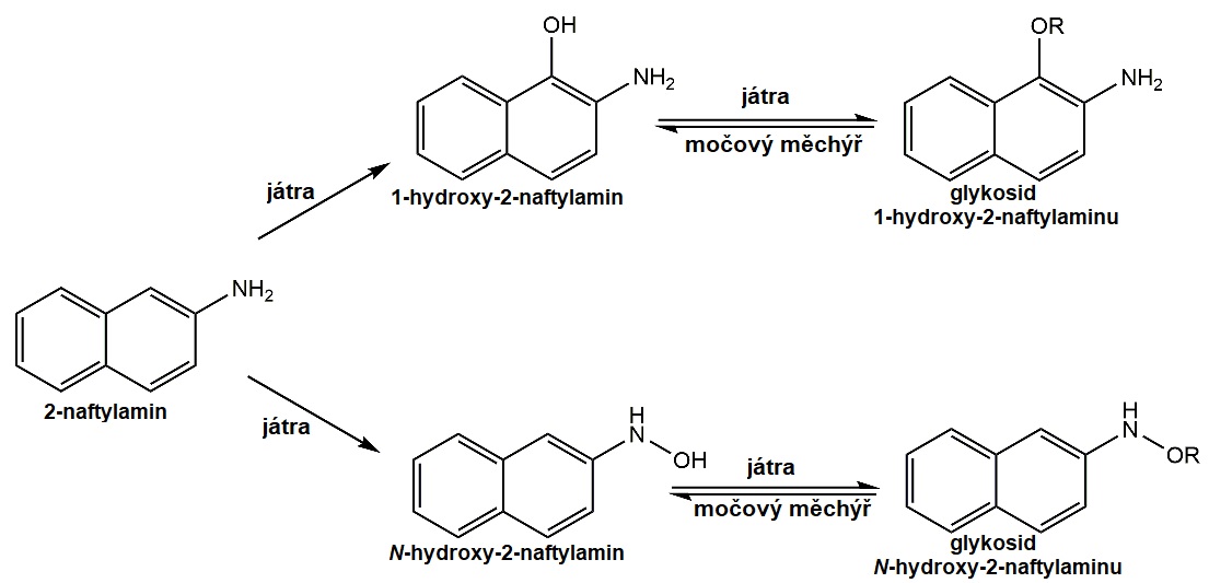 naftylamin.jpg